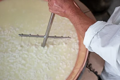 soro_do_leite_onde_usar