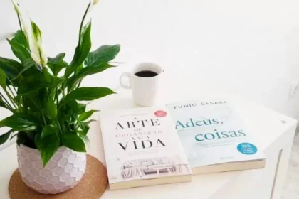 livros_a_arte_de_organizar_a_sua_vida_e_adeus_coisas