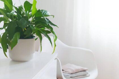 10 coisas que não vou comprar este ano