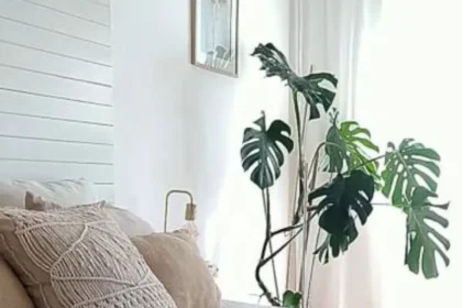 Por onde começar a organizar a casa