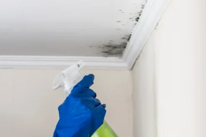 como evitar e eliminar bolor e mofo em casa