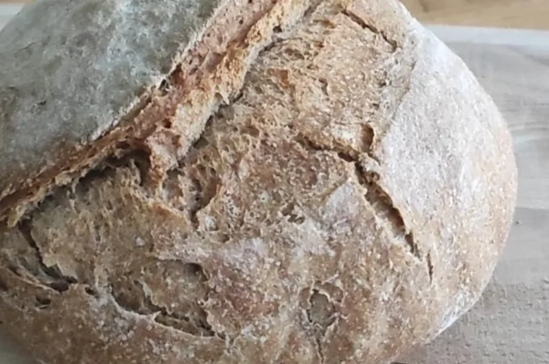 pao_de_espelta_e_aveia2