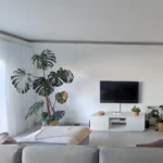 como ter apenas o essencial em casa